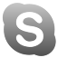 Instant Messenger Skype Icon 64x64 png